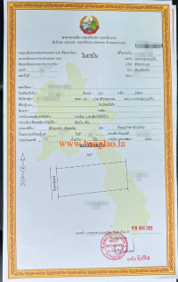 T00333